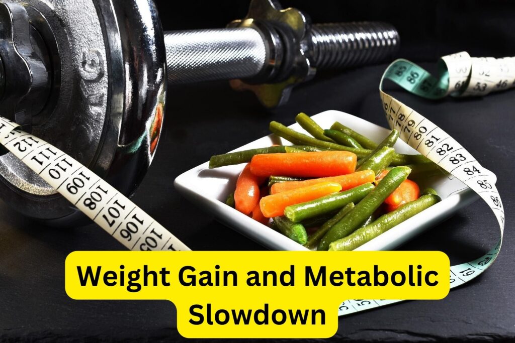 Weight Gain and Metabolic Slowdown